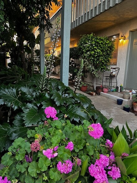 Building Photo - 1132 Meta St