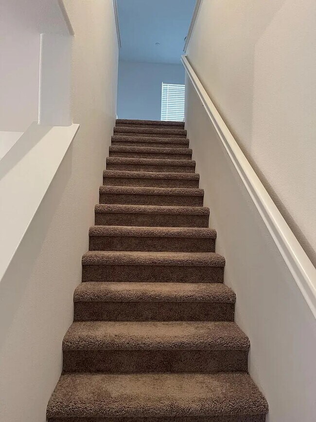 Building Photo - 161 Trevor St