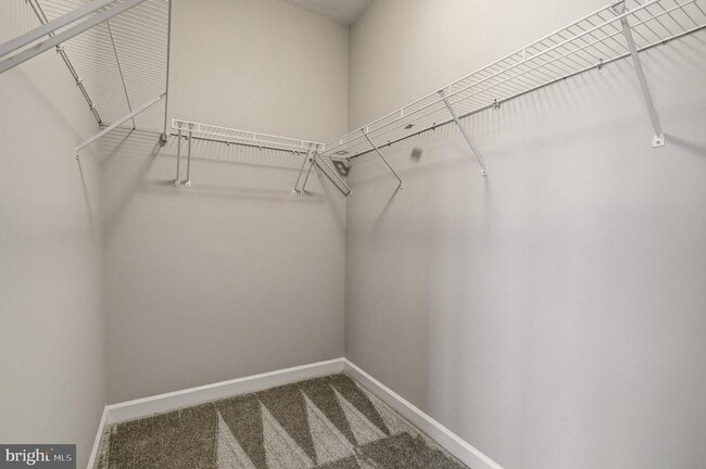 Building Photo - 11657 Leesborough Cir