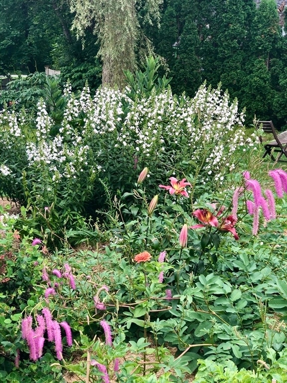 Building Photo - 5 High St Ct