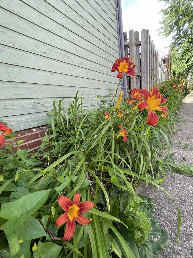 Driveway Flowers - 1895 W 73rd St