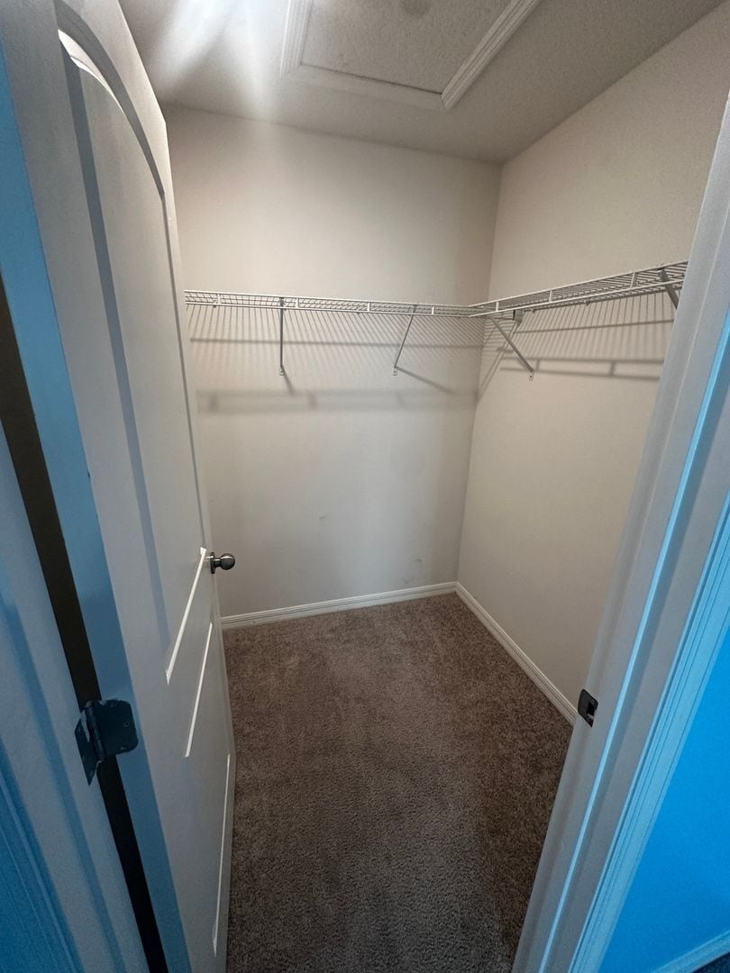 Building Photo - 276 Hyacinth Ct