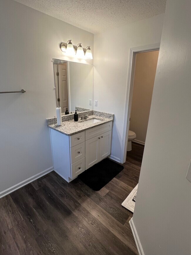 Master bathroom - 1263 Brookstone Rd