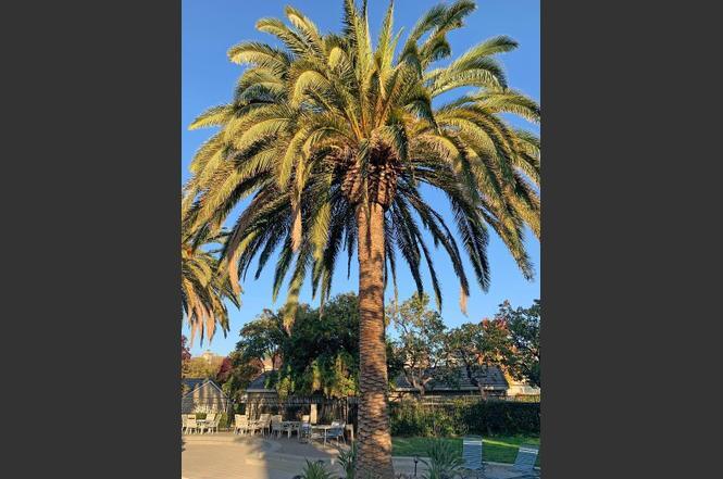 Building Photo - 929 Lake Tahoe Ct