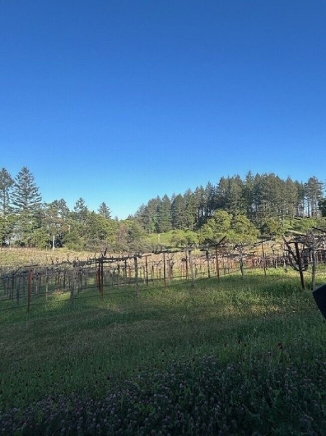 Building Photo - Charming Furnished Estate on Spring Mountain – St. Helena, CA