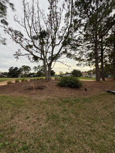 Building Photo - 2972 Kokomo Loop