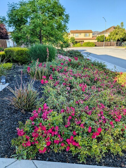 Cul de Sac - 16650 San Gabriel Ct