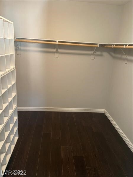 Building Photo - 10116 Ocicat Ave