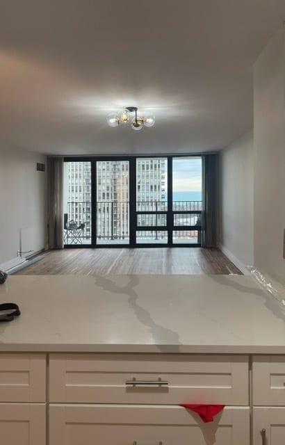 Main space - 1636 N Wells St