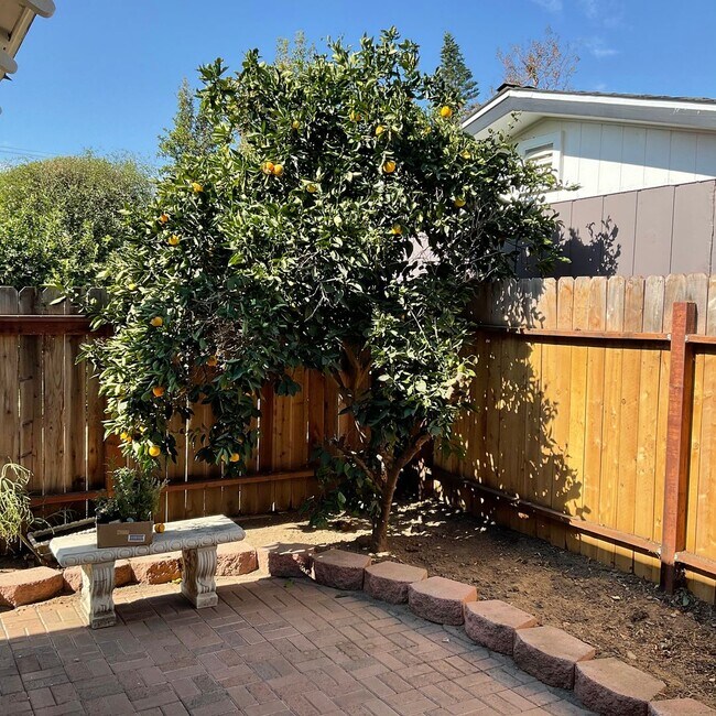 Building Photo - 272 S Grand St