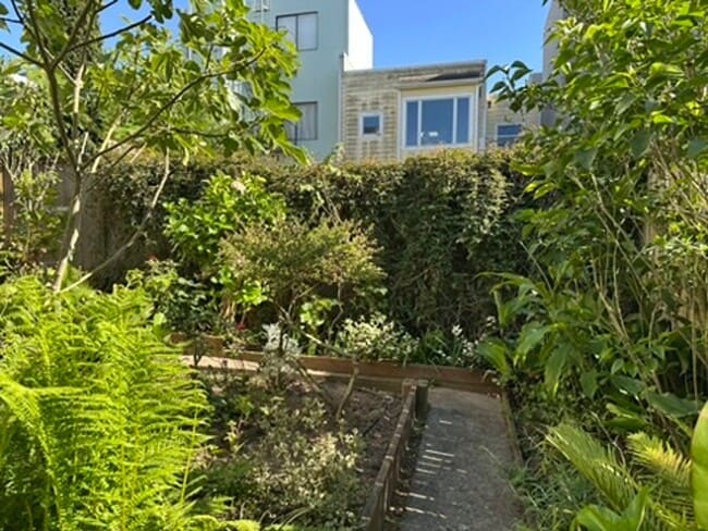 Building Photo - Epic REA- Serene 2 BR/1 BA Flat w/Private Deck & Yard in Lone Mountain