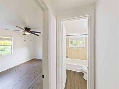 Building Photo - 230 Daffodil St