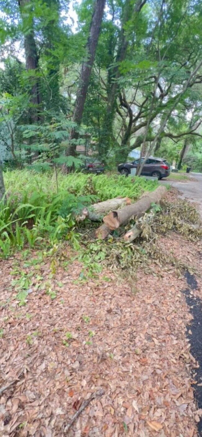 Building Photo - Large 2BD/ 2BTH with loft-Great Location