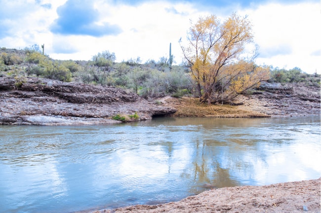 Building Photo - 3Bed/2Bath Home in North Scottsdale! Move-In Ready on 1/1/2026!