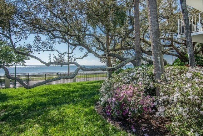 Building Photo - 2611 Bayshore Blvd