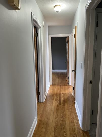 Building Photo - 162 Pisgah Heights Ln