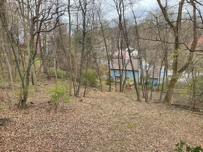 Building Photo - 1541 Woodhaven Dr