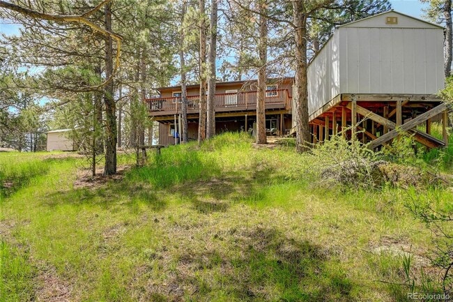 Building Photo - 12 minutes from downtown Bailey on a large wooded, private lot