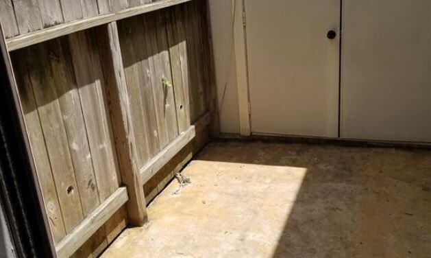 Building Photo - 8100 Cambridge St