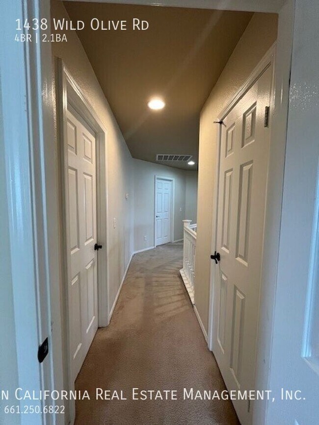 Building Photo - 1438 Wild Olive Rd