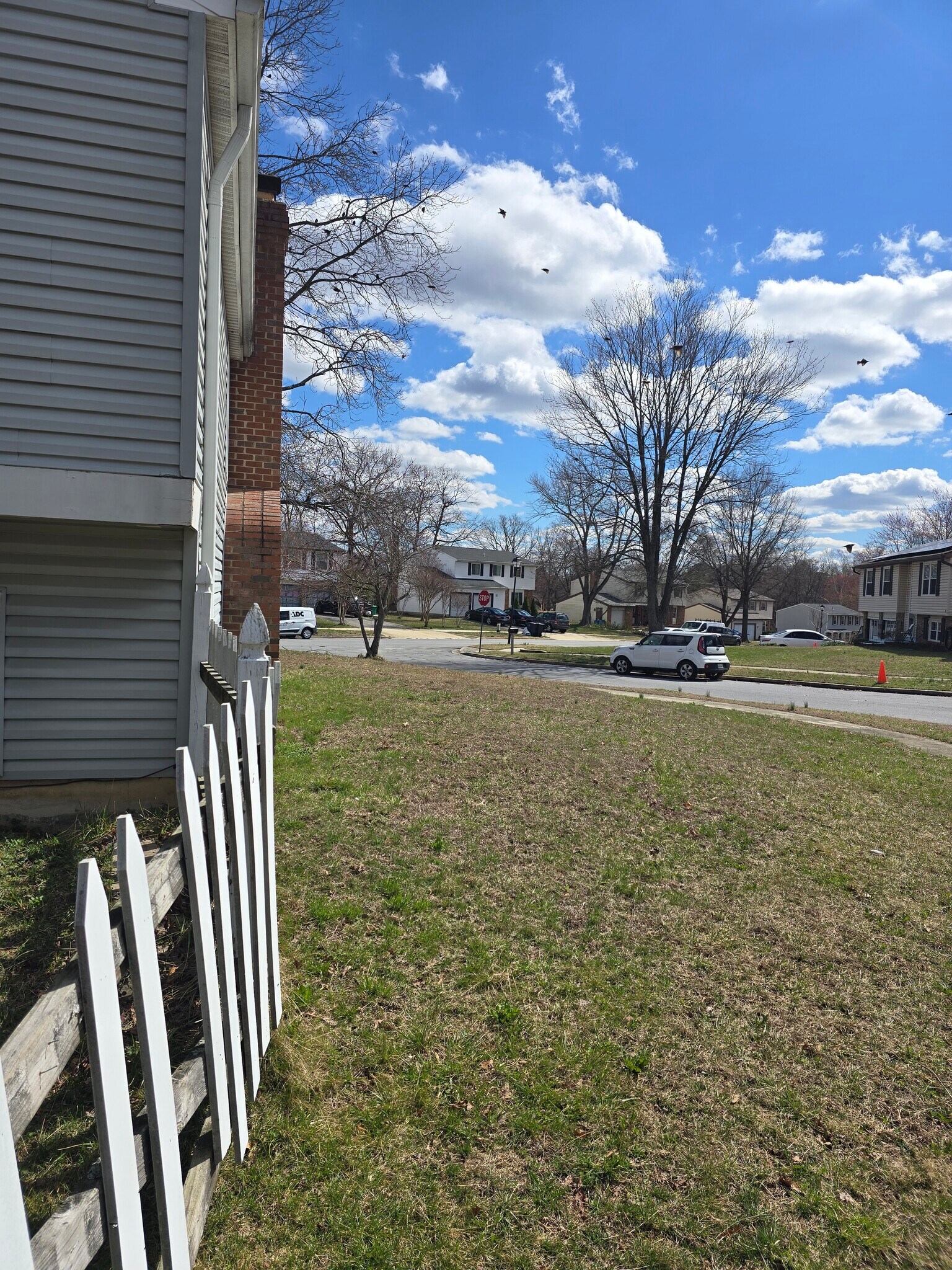 Building Photo - 8604 Briarwood Ct