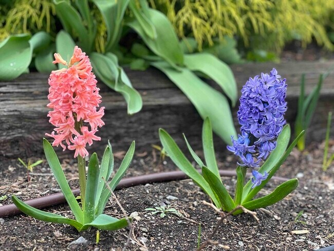 Building Photo - 61 Wollaston Ave