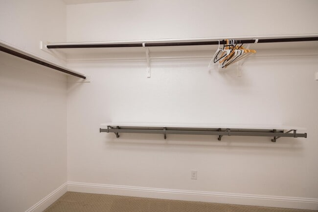 Building Photo - Gorgeous 2-story in Keller