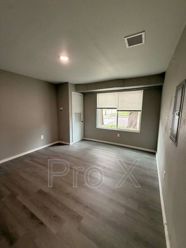 Building Photo - 117-121 S Byers Apartments