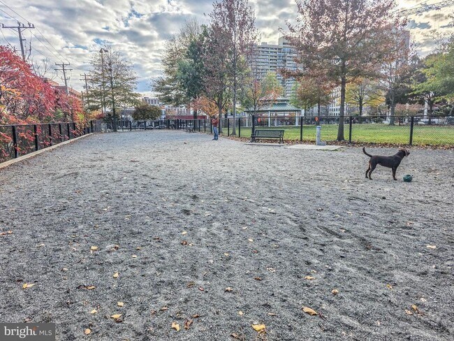 Building Photo - 1023 N Royal St