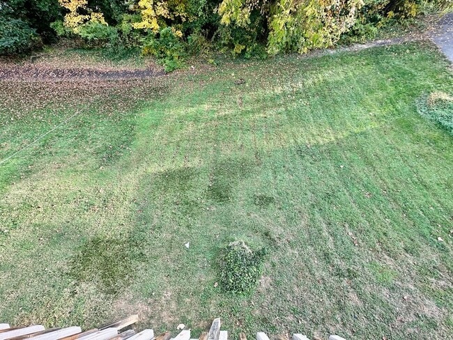 Building Photo - 1552 Terrace Rd SW