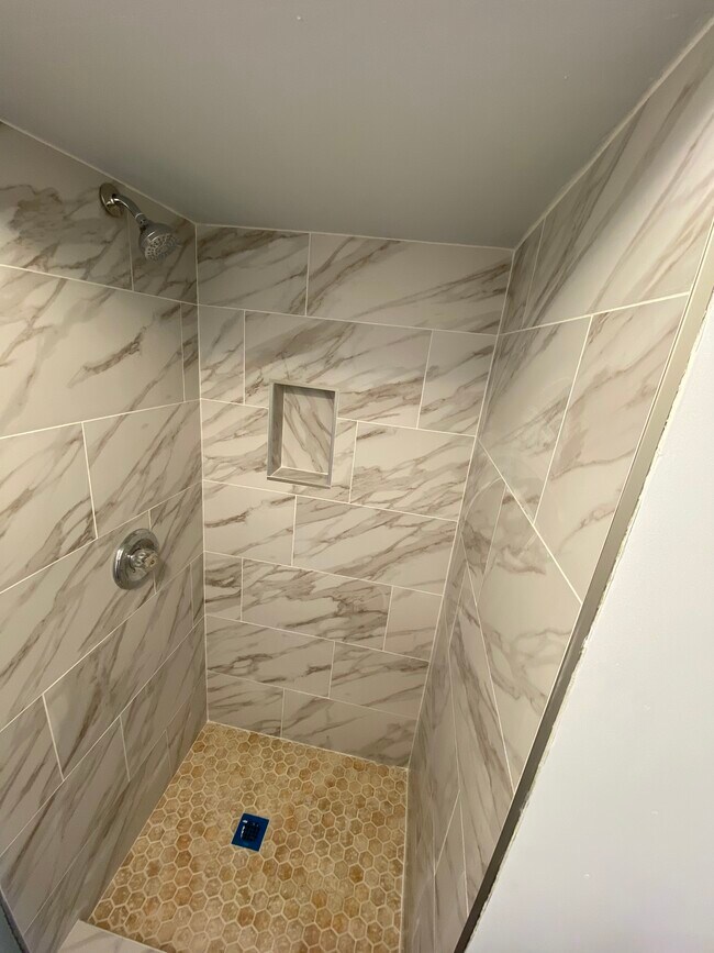 Shower (basement) - 9110 Drake Pl