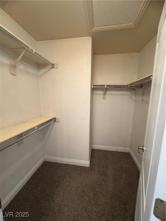 Building Photo - 3412 President Pride Pl