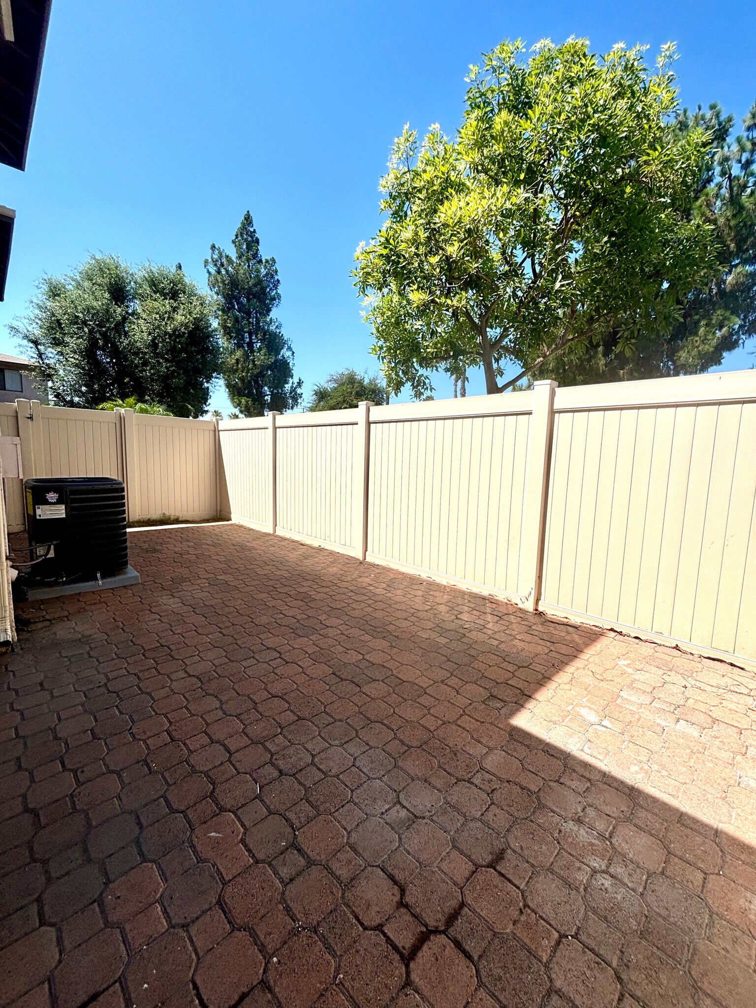 Patio side area - 1339 Massachusetts Ave