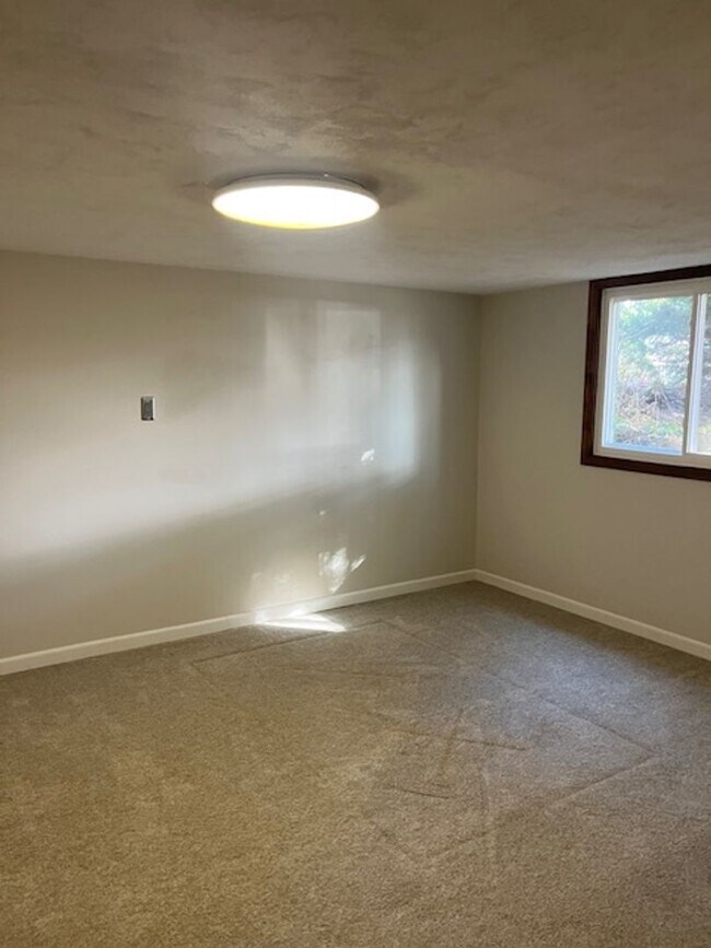 Building Photo - Spacious, Fully Updated Home with Walkout Basement on a Mature Lot