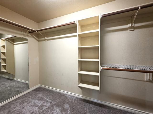 Building Photo - 9603 Wolf Creek Dr