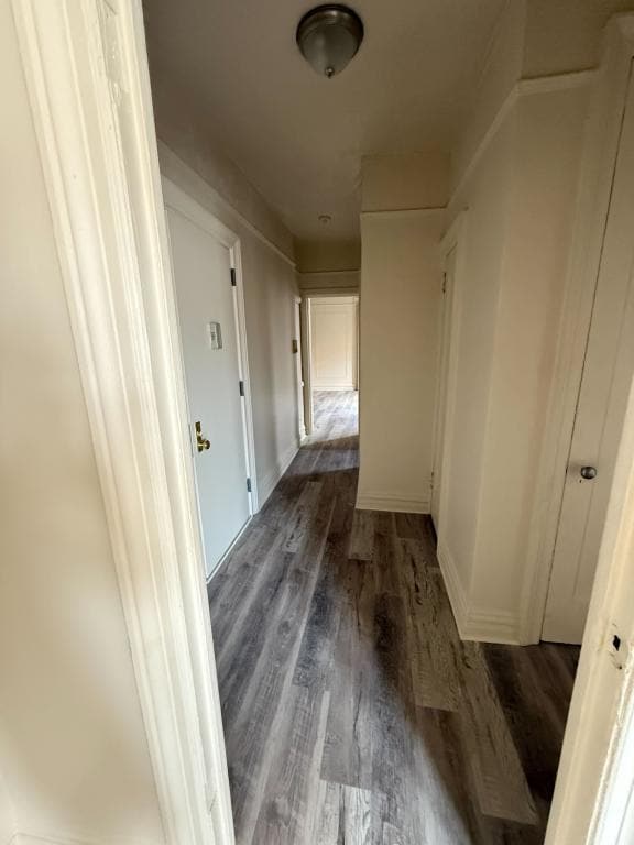 Building Photo - 36 Bruce Ave