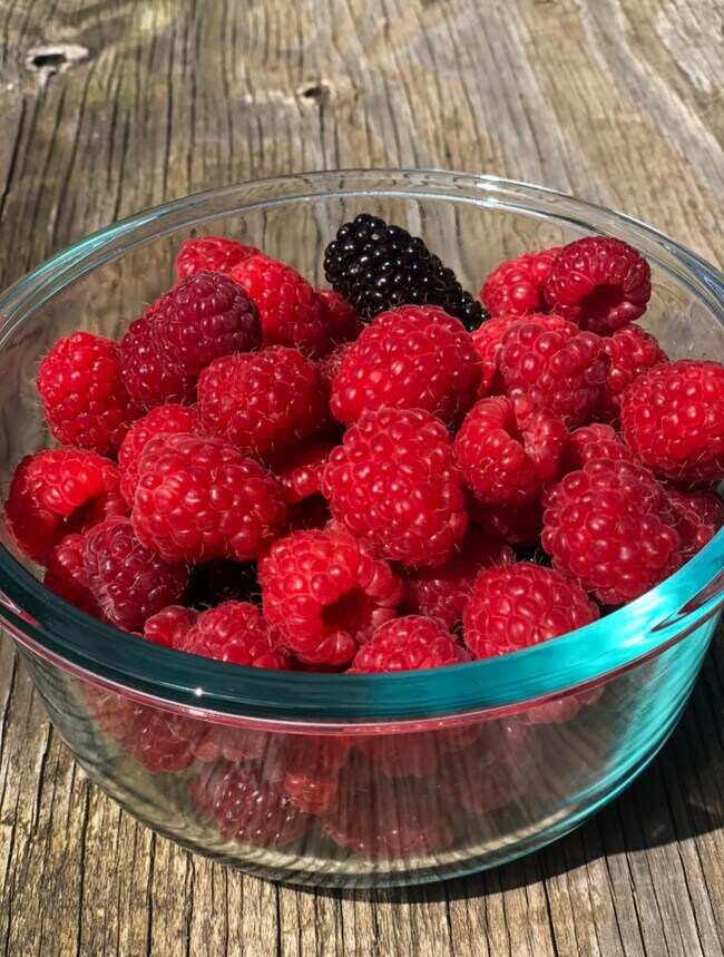 Building Photo - 4537 SE Mitchell St