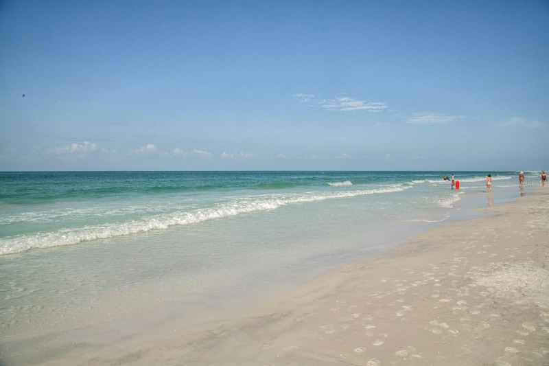 Building Photo - 117 Lacewing Pl