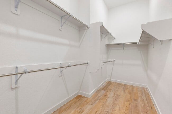 Building Photo - 108 Salvia Star Ct