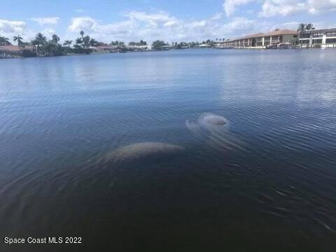 Building Photo - 1700 Commodore Blvd