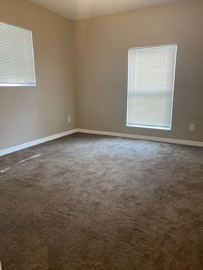Building Photo - Coming Soon! Tampa!