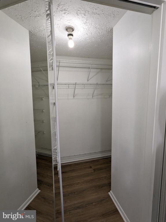 Building Photo - 2996 Paddock Wood Ct