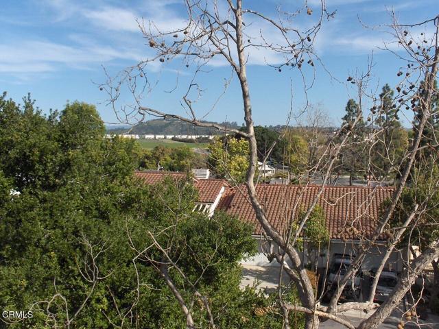 Building Photo - 2623 Antonio Dr