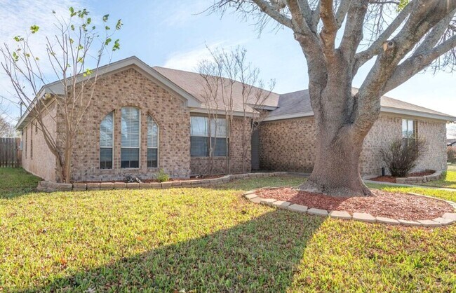 Building Photo - 3bd/2ba in Killeen Tx