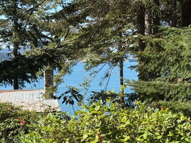 Building Photo - Guemes Island 3 Bed, 2.5 Bath with Partial View