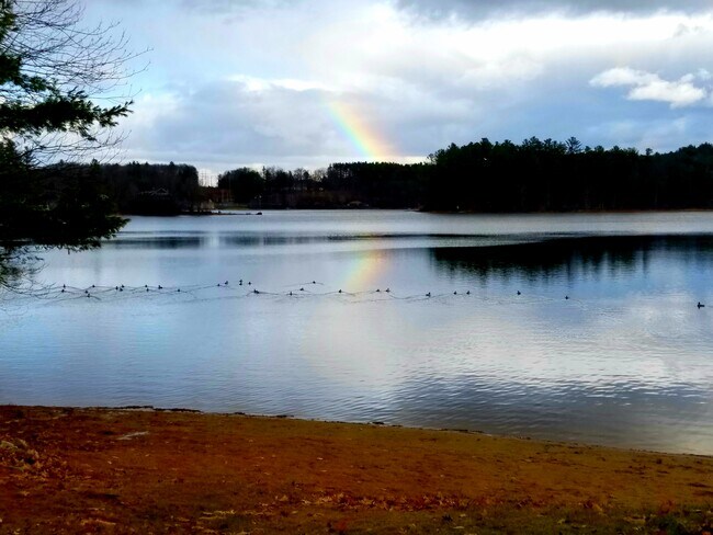 Building Photo - 80 Noyes Rd