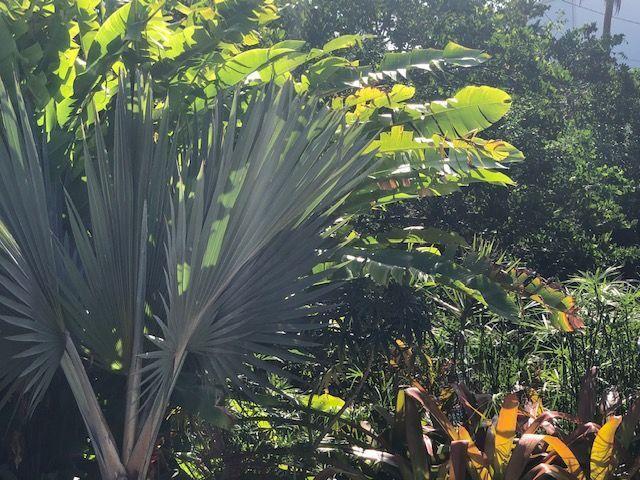 Building Photo - 3180 NW 6th Ave