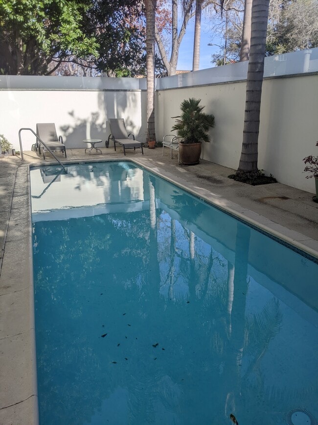 Pool - 415 Montana Ave