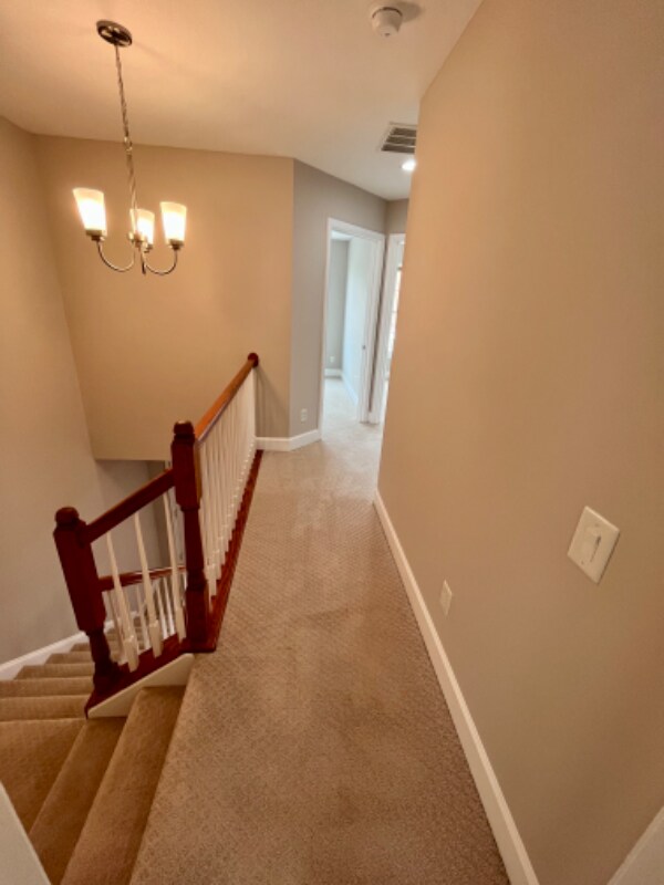 Building Photo - 2417 Terra Cotta Cir