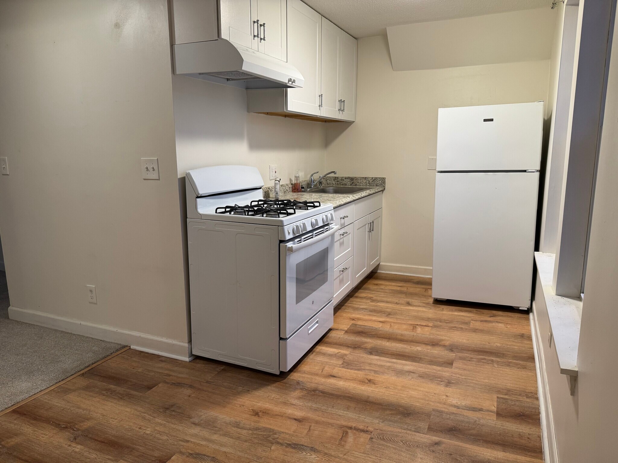 Kitchen - recently updated cabinets and counter top - 1369 Saint Clair Ave